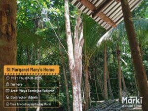 Tuburan Update 1